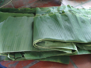 ราคาสุดคุ้มสำหรับการสั่งซื้อจำนวนมากของใบกล้วยเขียวเวียดนามสด (ธรรมชาติ 100%) สำหรับห่อเค้กและผัก - Product Image 3