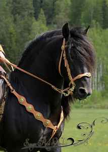 Headstall de bride de cheval en cuir véritable de haute qualité et collier de poitrine en cuir de vachette Vintage Headstall prêt à expédier - Product Image 3
