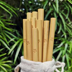Pajita de bambú con logotipo personalizado de alta calidad, el precio más barato, con cepillo y Bolsa, hecha en VIETNAM - Product Image 6