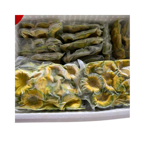 MEILLEUR PRIX Avocat bleu Lotus IQF surgelé, variété Hass, en cubes, pour l'exportation de l'industrie alimentaire - Product Image 4