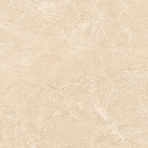 Azulejos esmaltados de porcelana de diseño europeo, fabricación en India para Villa Grande de lujo. - Product Image 2