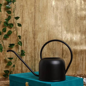 Noir mat L'arrosoir parfait pour votre jardin Ocean Breeze: Arrosoirs bleus élégants pour une croissance luxuriante - Product Image 1
