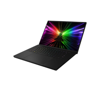 Ordinateur portable de jeu Blade 16 16 QHD+ 240Hz [i9-14900HX RTX 4090 - Product Image 5