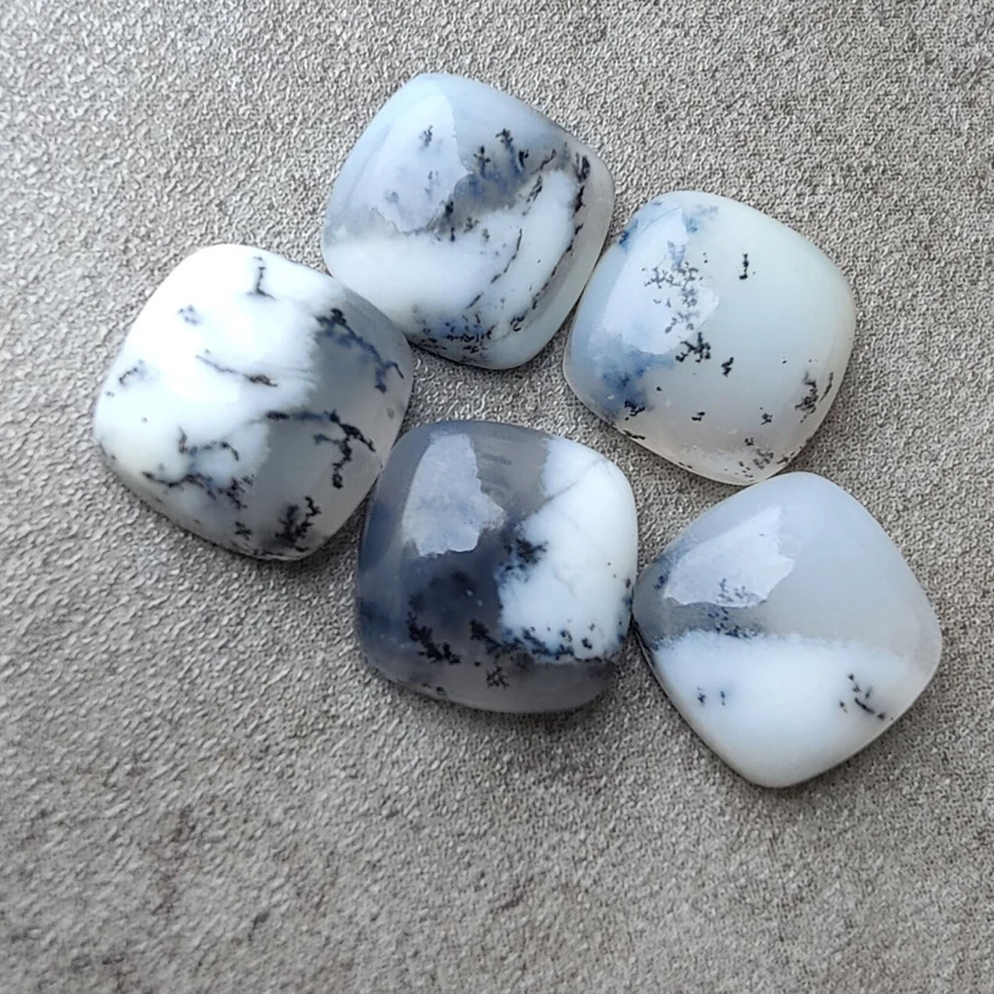 เช่นเดียวกับรูปภาพ