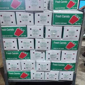 Carottes congelées biologiques de haute qualité avec un style frais et un service OEM disponible au Vietnam - Product Image 3