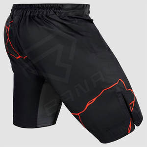 Haute Qualité Martial Personnalisé Hommes Shorts Combat Shorts MMA Compétition Formation Arts Martiaux Porter MMA Court - Product Image 2
