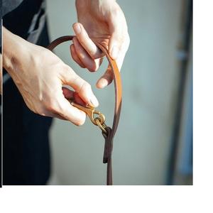 <b>Training</b> <b>Dog</b> Leash - Dark Brown - Product Image 1