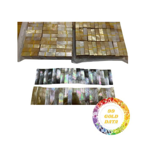 Pièces de coquille de nacre Vietnam coquilles brutes de nacre pour la décoration et l'artisanat d'incrustation de bijoux du fournisseur 99GD - Product Image 6