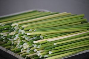 Bon pour votre vie santé! Pailles écologiques à boire au Vietnam avec des matériaux 100% naturels d'Eco2go Vietnam - Product Image 5