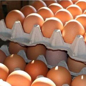 ไข่ไก่สดมาตรฐาน - Product Image 4