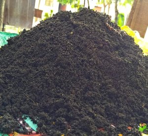 Vermicompost/ปุ๋ยอินทรีย์ - Product Image 1