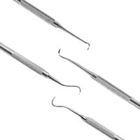 Kit de Prophylaxie Dentaire Manuel Avancé 13 Pièces en Acier Inoxydable, Ensemble de Nettoyage Dentaire Vétérinaire, Instrument Médical MOL