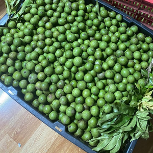 Natural IQF Frozen Dracontomelon Fruit Auténtica fruta agria vietnamita para bebidas y industria culinaria - Product Image 3