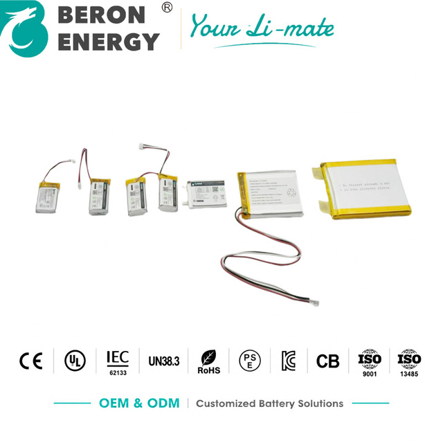OEM 3.7V 3.85V Lithium Polymer Li-Po Battery Pack Custom Lipo Battery with BMS for GPS, Beauty Device, Bluetooth Speaker & IoT