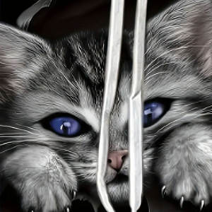 เสื้อฮู้ดผู้ชายคอลเลกชั่นผ้าคอตตอนผสมสกรีน - Product Image 4