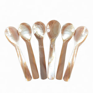 Cuchara Artesanal de Nácar para Mesa de Postres y Degustación de Caviar Directamente de Fábrica en Vietnam - Product Image 1