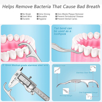 Cure-dents de poche, kit de médiators pour fil dentaire, outils allemands de nettoyage des dents en acier, cueilleurs de dents pour adultes, vente en gros