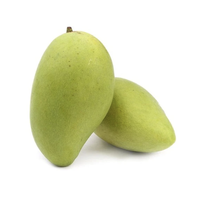 Kemasan dalam kotak mangga segar menjual dalam jumlah besar mangga dari pertanian VIETNAM panen baru