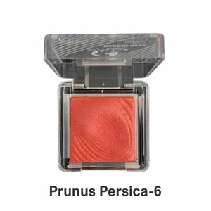 อายแชโดว์เนื้อแมทท์และชิมเมอร์สีมินิสีเนื้อเงาแบบยุโรป1เม็ดสีสูง