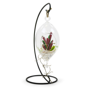 HCH1007 - Terrarium suspendu en verre oblong / Porte-bougie (double crochet) - 7 - Product Image 5