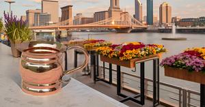 Taza lisa de cobre de mula de Moscú de diseño moderno de 14oz, taza de regalo sólida con mulas para café y cerveza de jengibre - Product Image 4