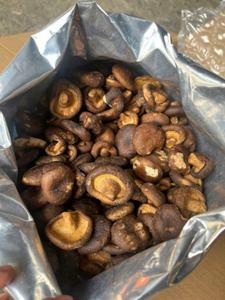SHIITAKE <b>MUSHROOM</b> <b>CRISPS</b> / PURE INGREDIENTS ONLY / NATURAL SOURCE / SUSTAINABLY GROWN - Product Image 6