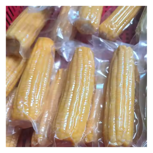 Iqf Sweet corn-Farm-Fresh จากเวียดนามเหมาะสำหรับโรงอาหารสายการบินและการทำอาหารที่บ้านโดย99 Gold DATA - Product Image 3