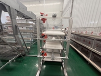 Système de cage à poules automatique de type H pour l'élevage de volailles, équipement d'élevage pour poules pondeuses