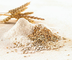 Farine à pain de fabricant de la Chine pour l'exportation emballée dans des sacs de 25kg ou de 50kg pp - Product Image 1