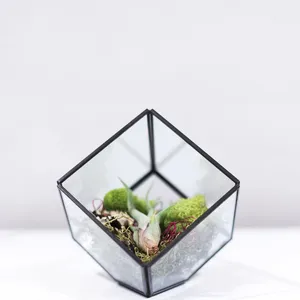 GET0406BK - Terrarium en verre géométrique noir incliné en forme de cube - 8,5 - Product Image 3