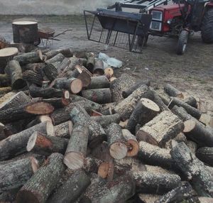 Stacked Hardwood Firewood <b>Logs</b> Ready for Use Outdoor Storage - Product Image 2
