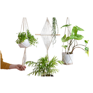 Pots de fleurs suspendus en macramé écologiques et modernes de qualité supérieure Z.HANDICRAFTS pour la maison et l'hôtellerie - Product Image 1