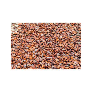 Jmarques Digital LTDA Gourmet Quality 100% Natural Roasted Single Origin Cocoa <b>Beans</b> Grade 1kg Packaging for Artisan <b>Chocolate</b> - Product Image 6