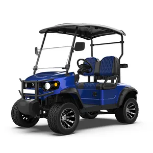 New Designed CE Electric Golf Carts 2 Seats Electric Club Car Golf Cart