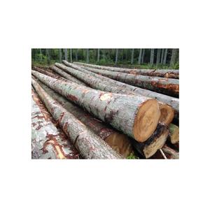 บันทึกโก้สดตัด-ราคาขายส่งสำหรับการสั่งซื้อจำนวนมาก - Product Image 4