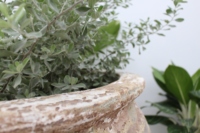 Venta al por mayor barato vietnamita hecho a mano plantadores de cerámica esmaltada cerámica vietnamita de fabricante vietnamita