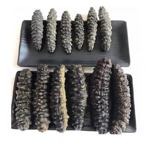 Concombre de mer séché de haute qualité, concombre de mer séché en vrac, séché naturellement et riche en nutriments essentiels - Product Image 3