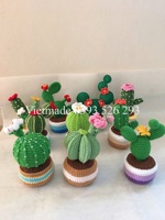 Penjualan laris 2025 pot bunga kaktus Crochet buatan tangan lucu dekorasi rumah hadiah Festival bunga rajut hadiah Crochet bunga buatan