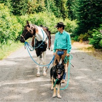 Laisse pour animaux de compagnie faite à la main, design personnalisé, colorée, en sangle ronde PVC/Nylon, pour grands chiens, laisse pour chevaux