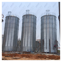 Silo di Stoccaggio per Chicchi di Caffè in Acciaio Zincato a Doppio Strato a Prezzo di Fabbrica, Durata 25-40 Anni, con Controllo PLC SIRO per l'Esportazione