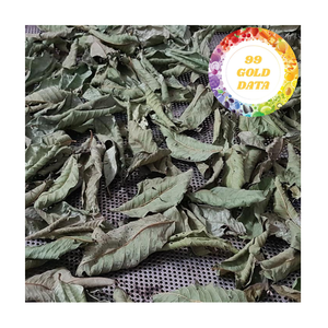 Meilleures ventes 100% feuilles de goyave séchées naturelles du Vietnam de haute qualité à bas prix - Product Image 1