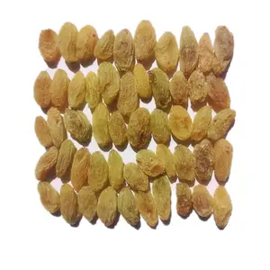 High Standard Wholesale Natural Bulk Large Raisins Non-GMO Sultan Aftobie Raisins for food
