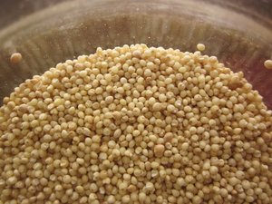 Attractive Price New Type Organic Yellow <b>Millet</b> Grains 1000g Edible Cereal Grain Thailand Healthy Porridge - Product Image 2