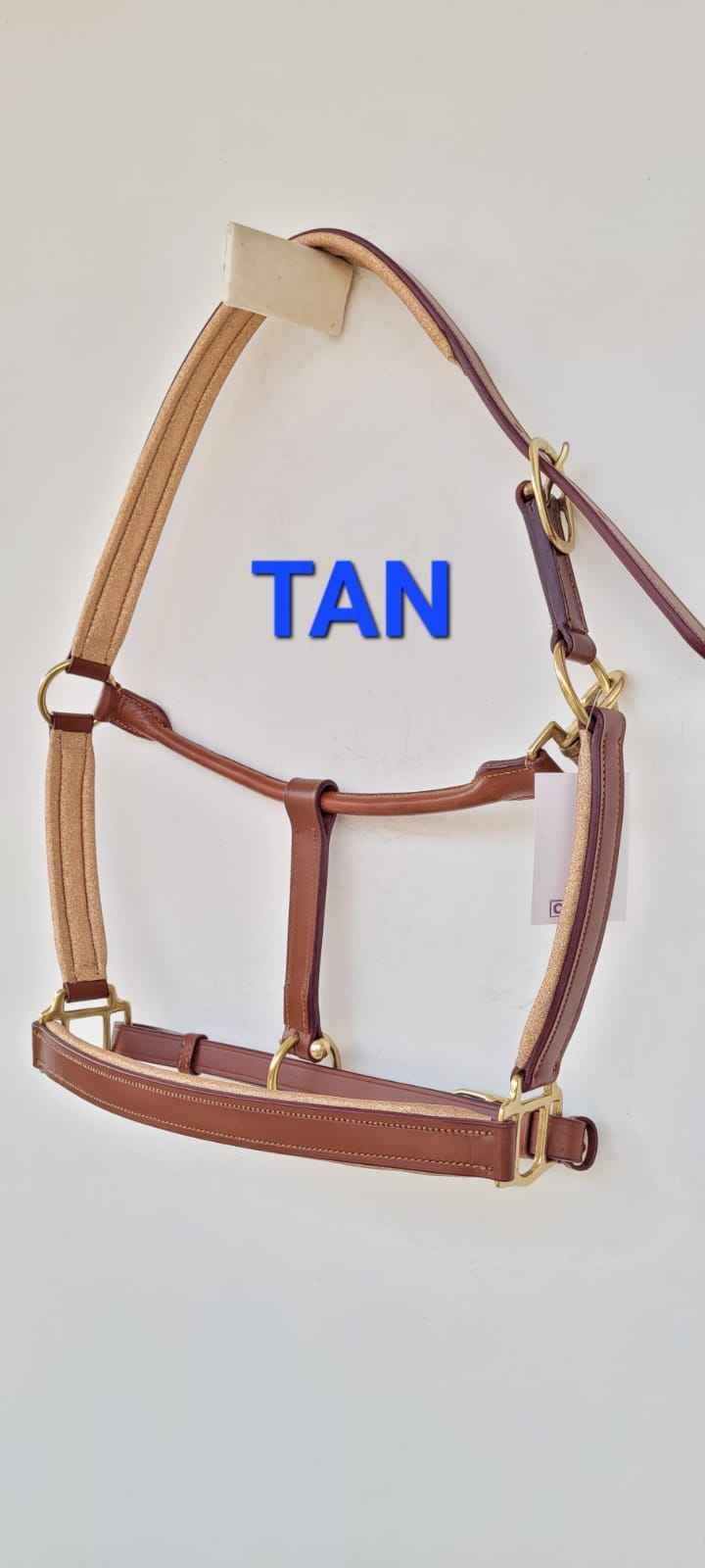 Tan