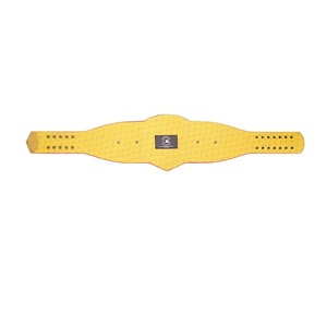 Haute qualité pas cher Fitness personnalisé Los Angeles Chargers Legacy Championship Belt Haute qualité Heavyweight Title Belt - Product Image 6