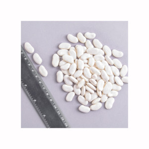 Frijoles blancos de primera calidad en venta, ideales para mercados de productos secos y legumbres. - Product Image 6