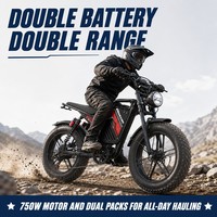 Vélo cargo électrique 48V 750W, cadre en acier, batterie lithium, double batterie, pneus larges de 20 pouces, 7 vitesses, pour la famille, la livraison et les trajets quotidiens
