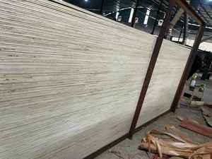 Contrachapado comercial con superficie de acacia, núcleo de Bintangor Okoume, diseño de eucalipto y acacia, y 1 año de garantía para uso en apartamentos. - Product Image 4