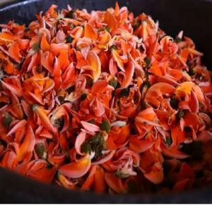 Flor de palash seca a precio mayorista de La India - Product Image 1