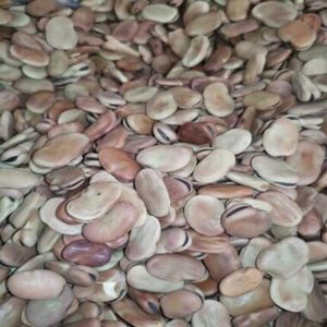 Habas Secas Orgánicas FD, Habas Broad Beans, Precio Económico, Mejor Calidad, Envasadas al Vacío, 25 kg, Proveedores al por Mayor - Product Image 1
